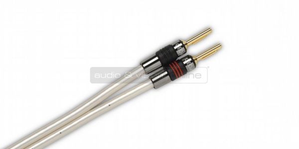 QED Reference XT40 hangfalkábel