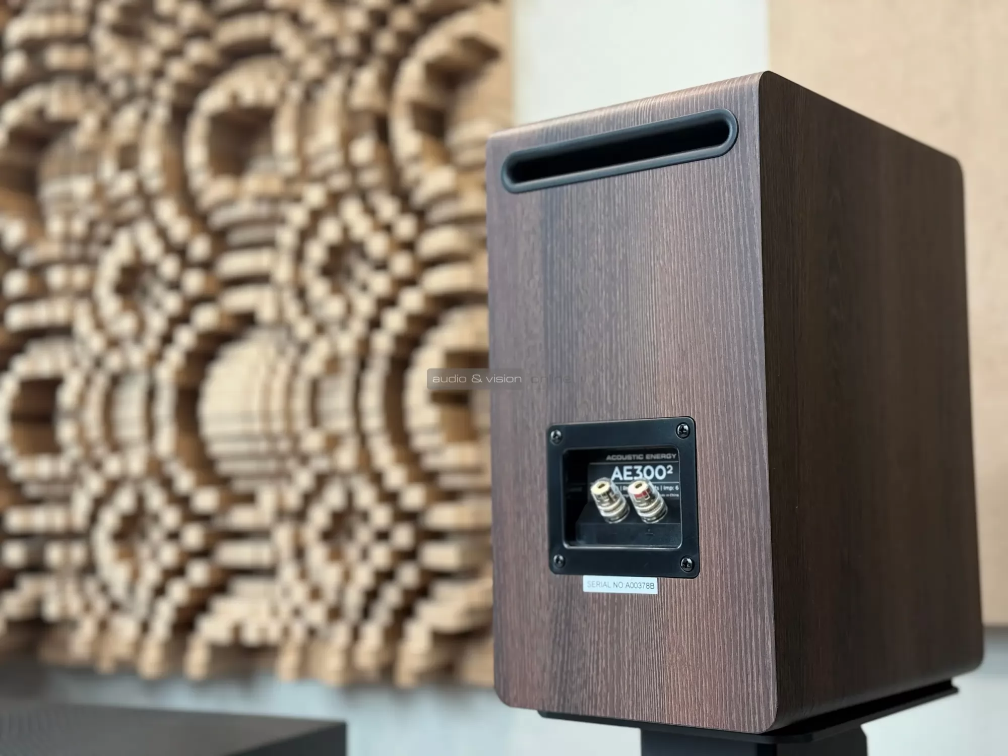 Acoustic Energy AE300.2 hangfal hátlap