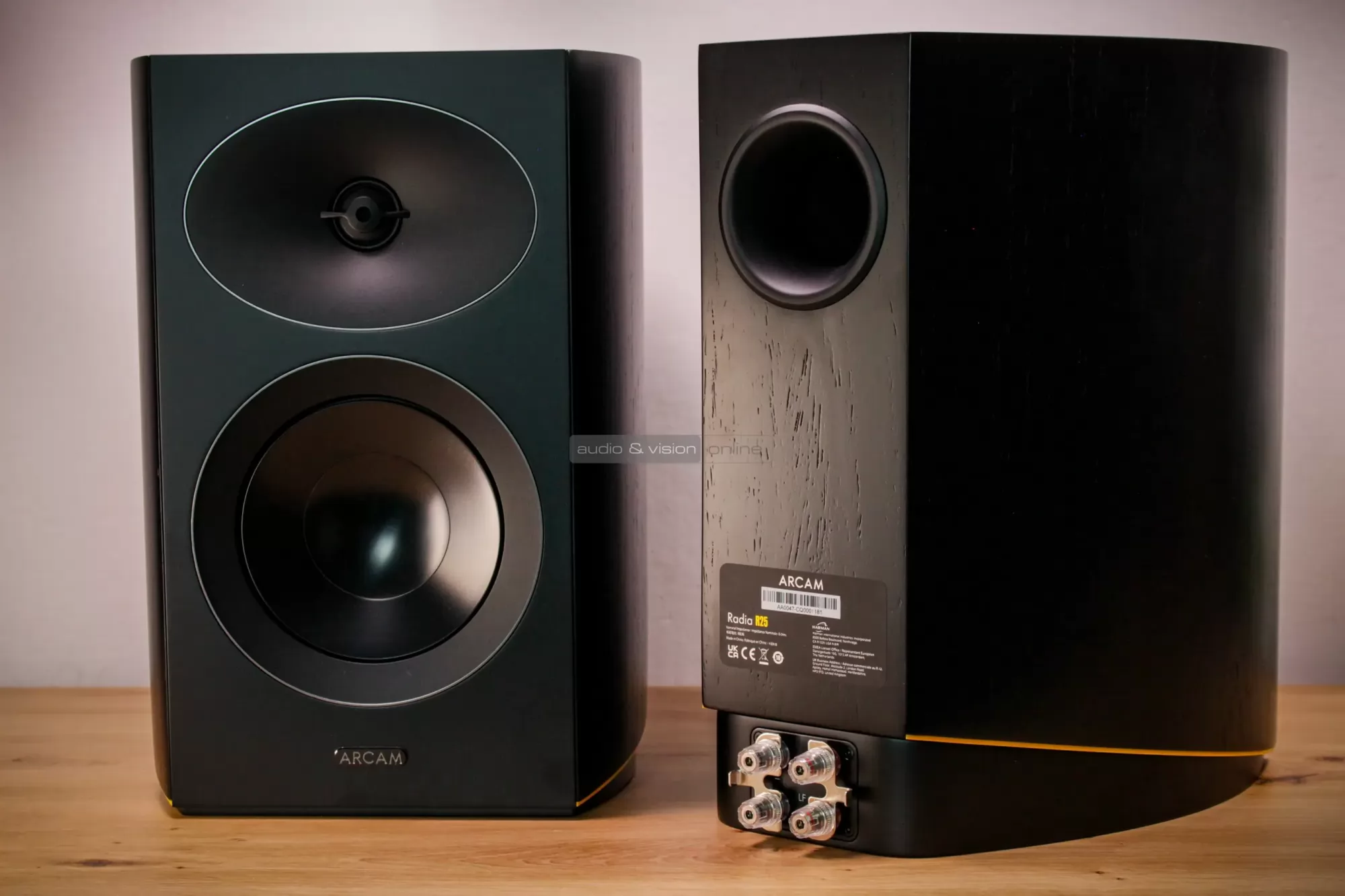 Arcam Radia R25 hangfal hátlap
