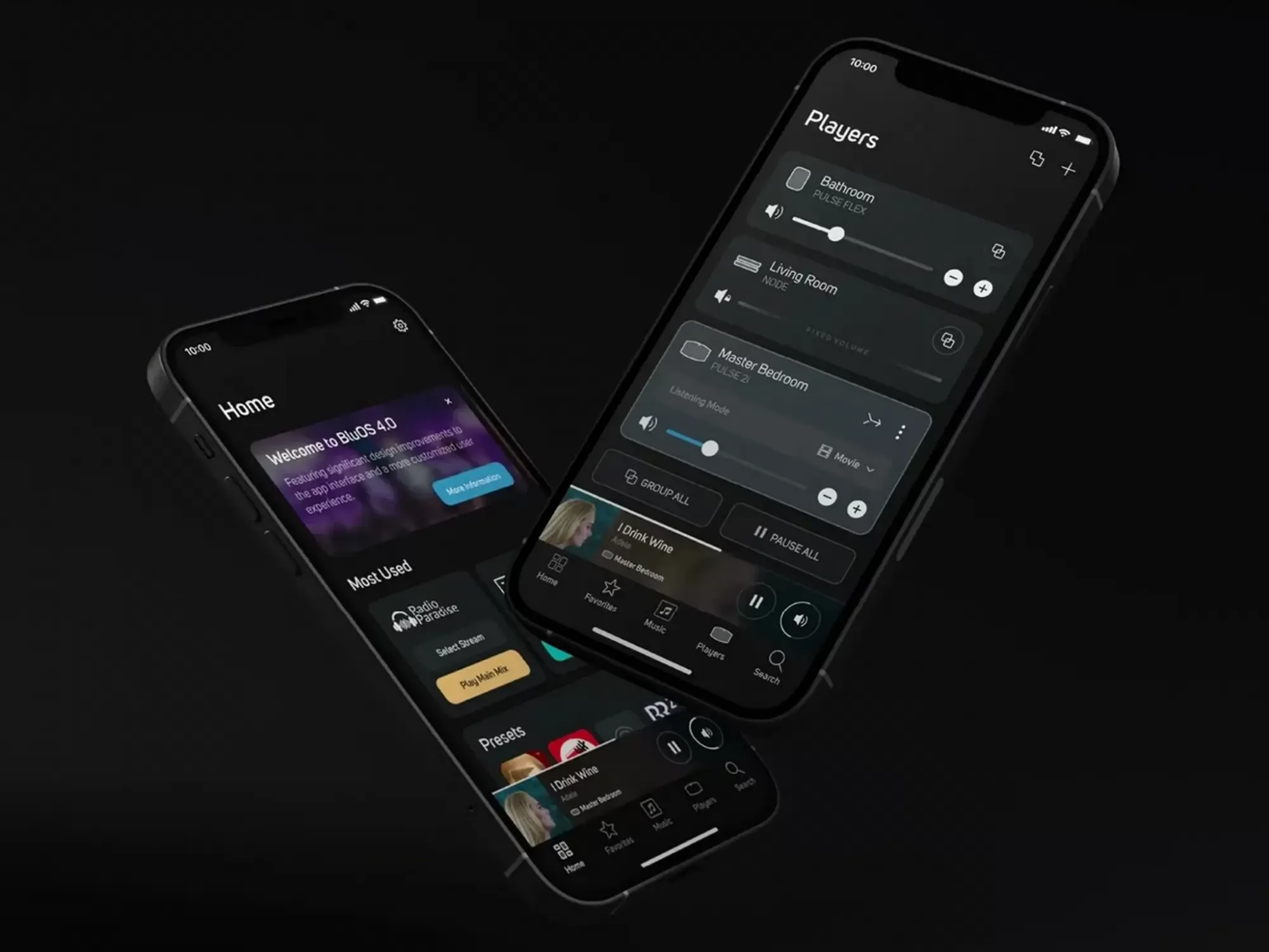 Bluesound POWERNODE App