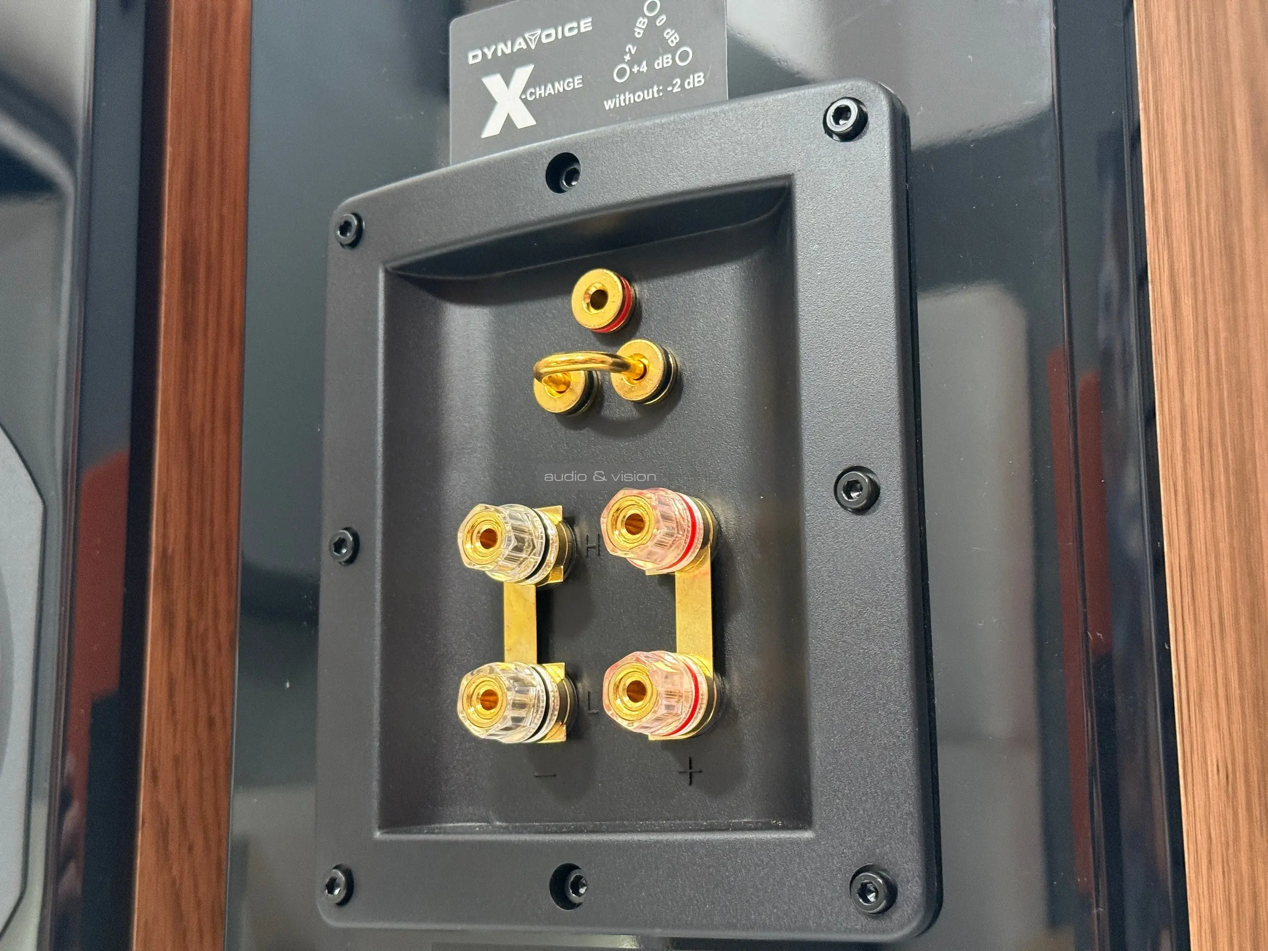 Dynavoice Definition DM-6II hangfal csatlakozó