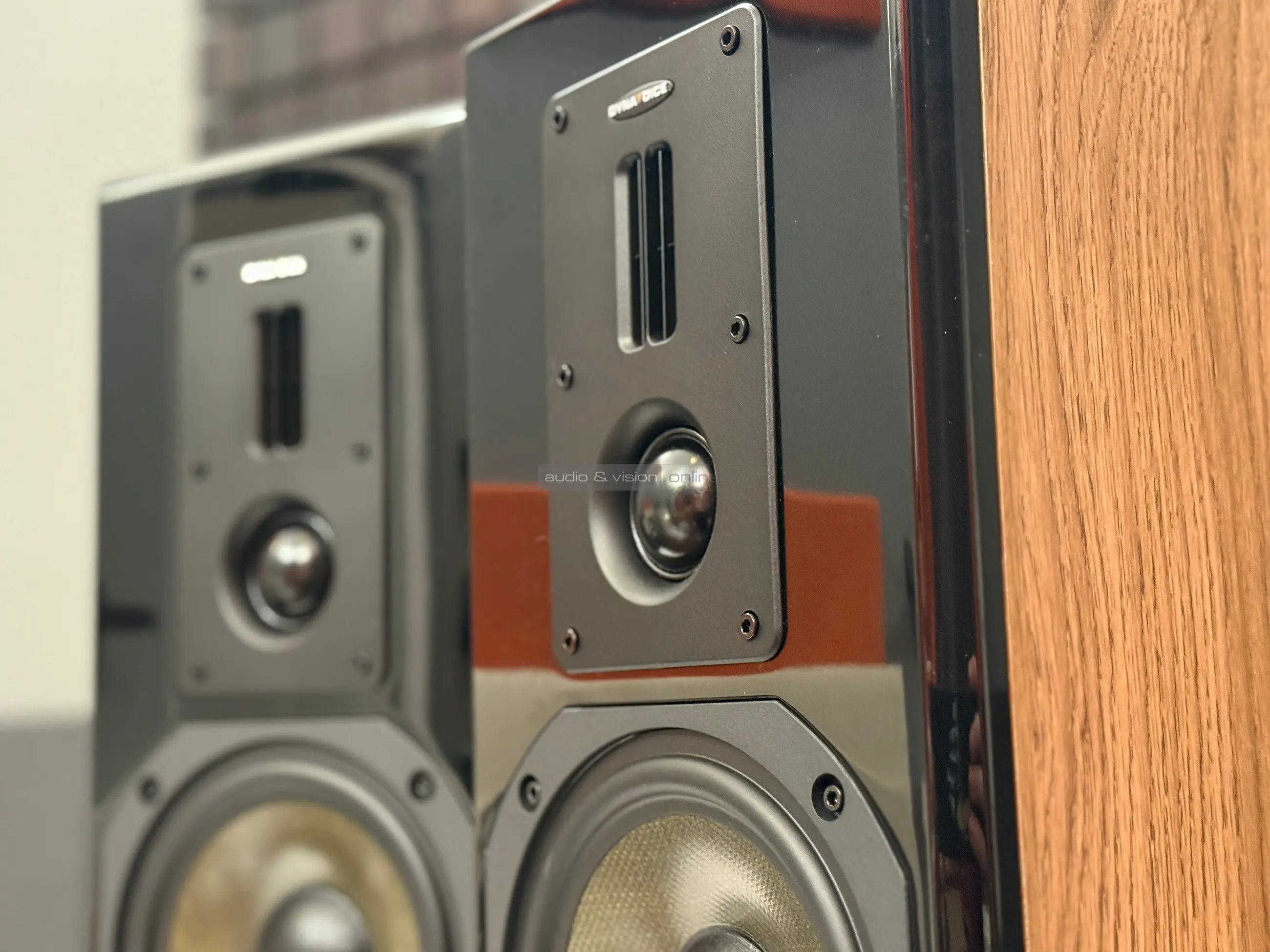 Dynavoice Definition DM-6II hangfal hangszórók