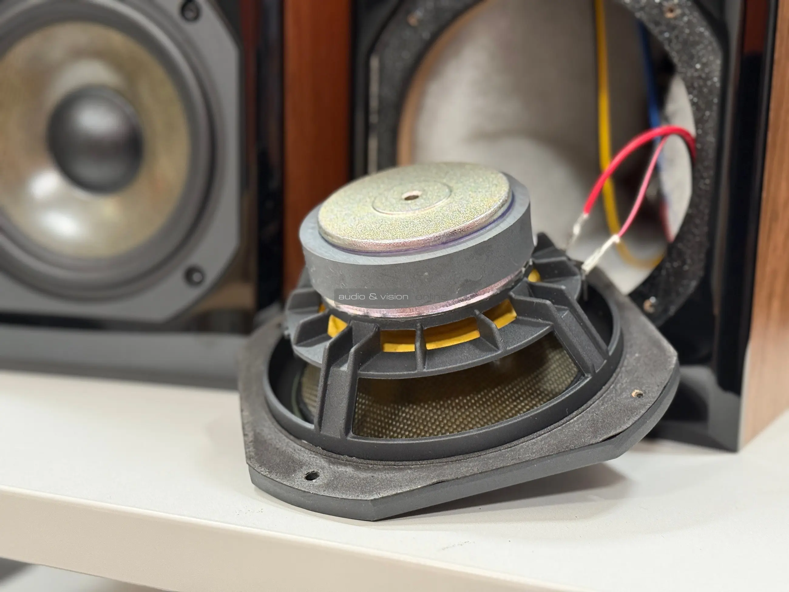 Dynavoice Definition DM-6II hangfal mélysugárzó