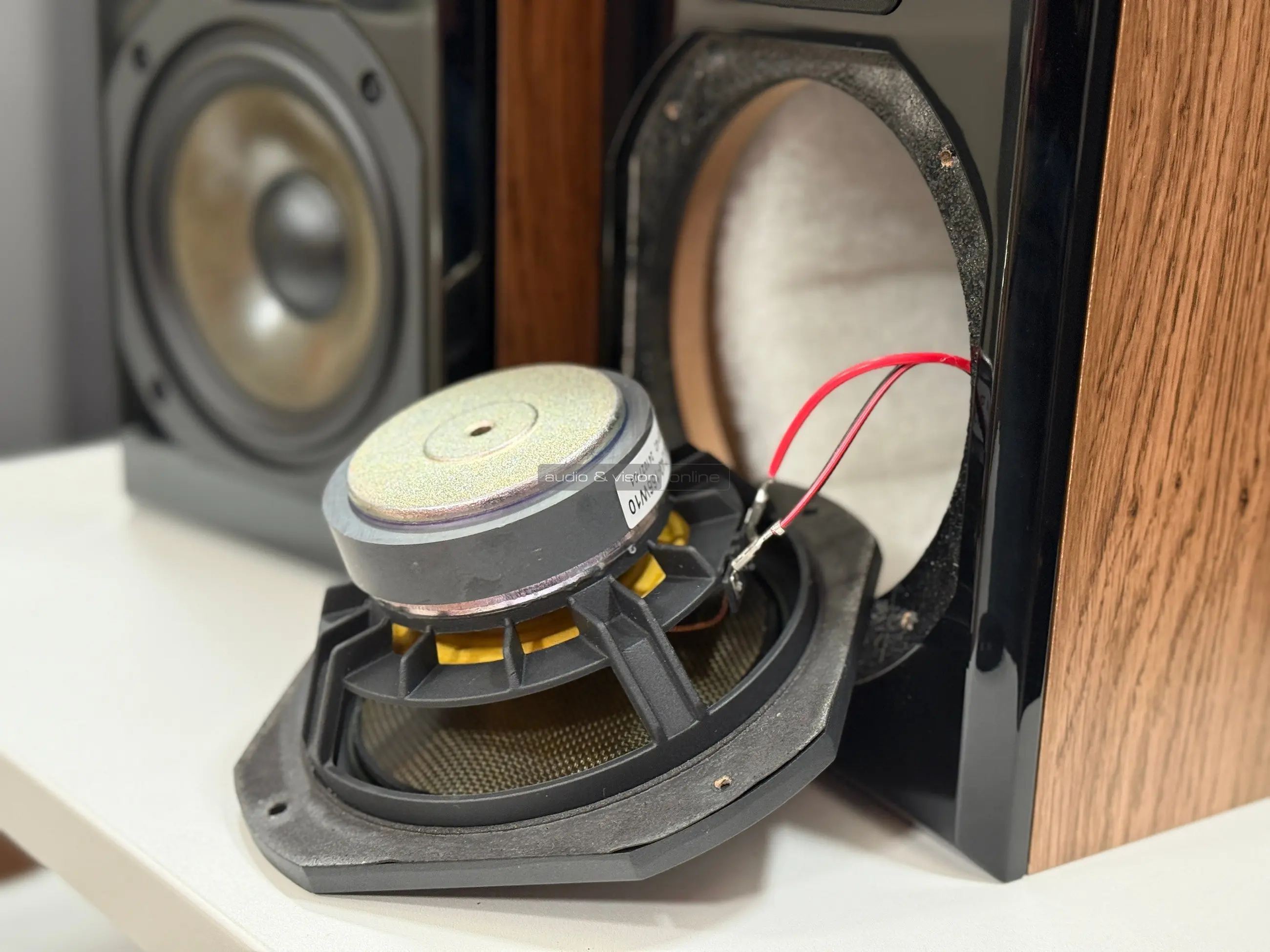 Dynavoice Definition DM-6II hangfal mélysugárzó