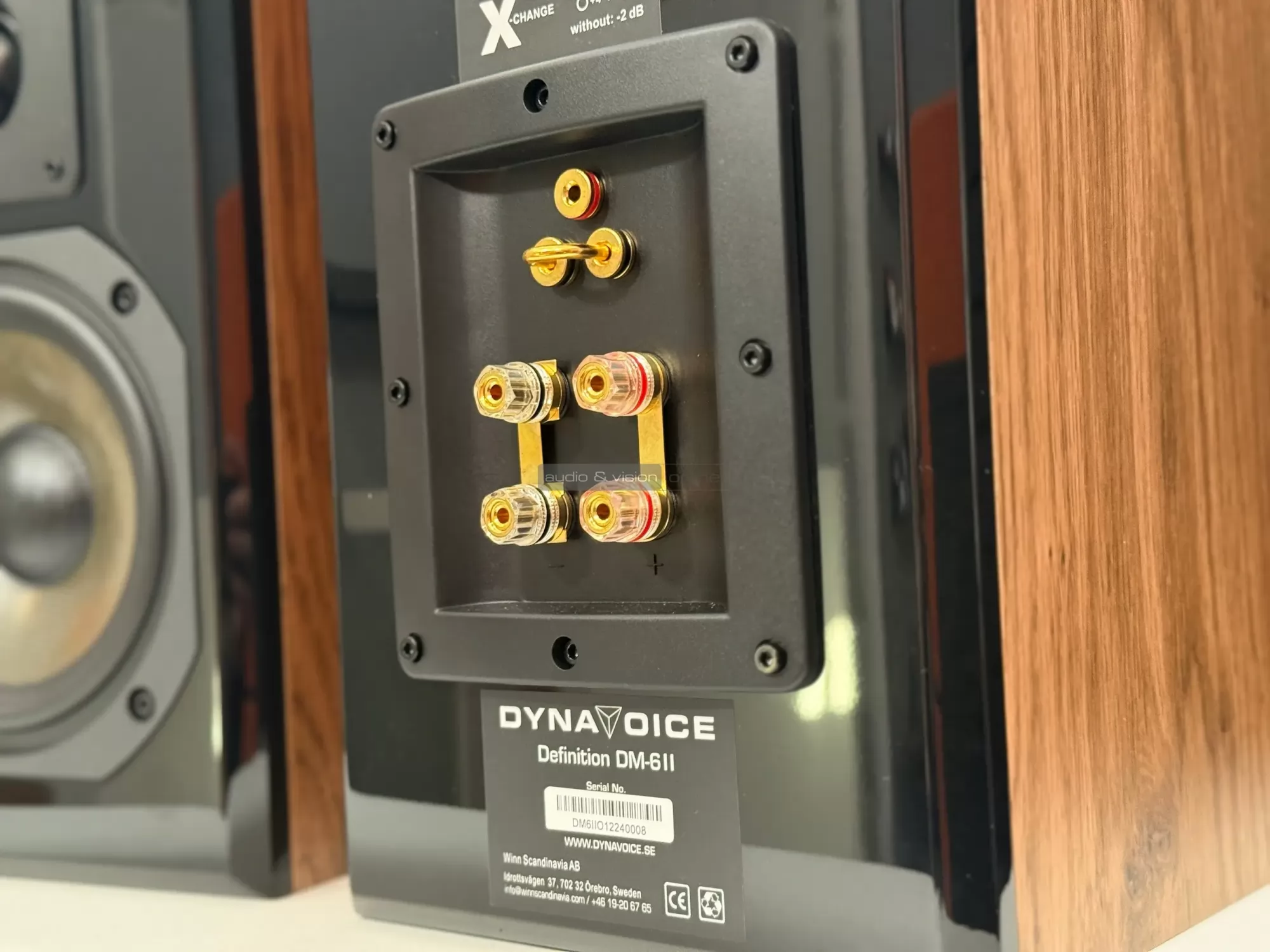 Dynavoice Definition DM-6II hangfal csatlakozó