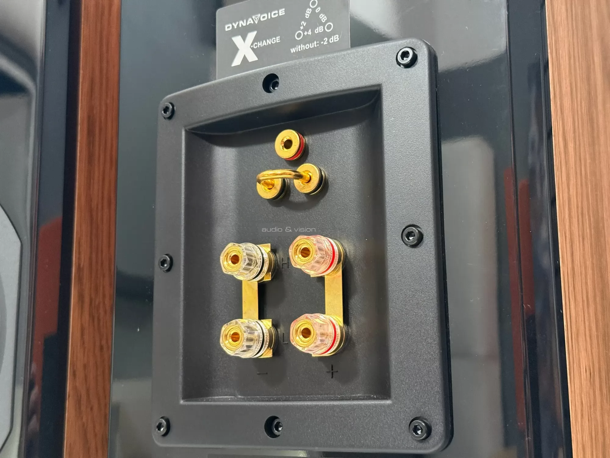 Dynavoice Definition DM-6II hangfal csatlakozó