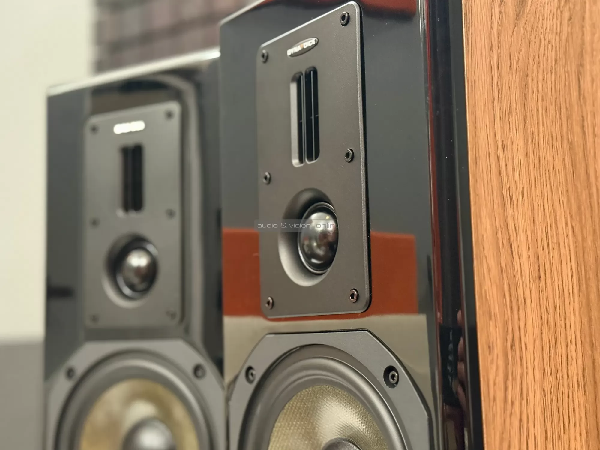 Dynavoice Definition DM-6II hangfal hangszórók