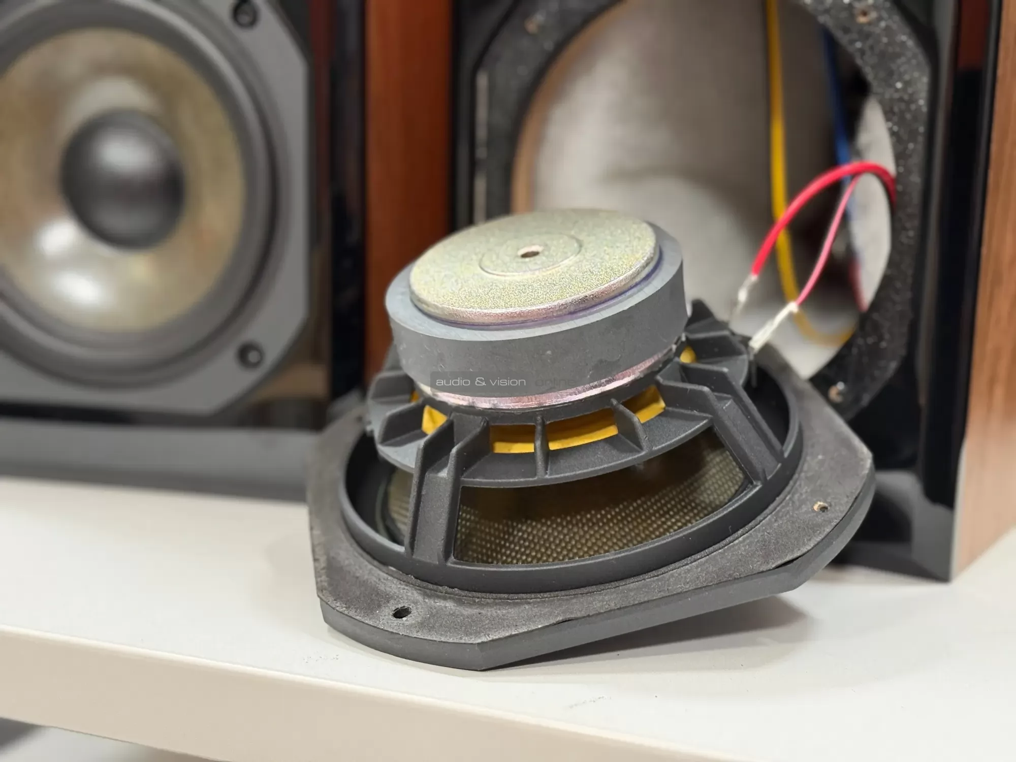 Dynavoice Definition DM-6II hangfal mélysugárzó