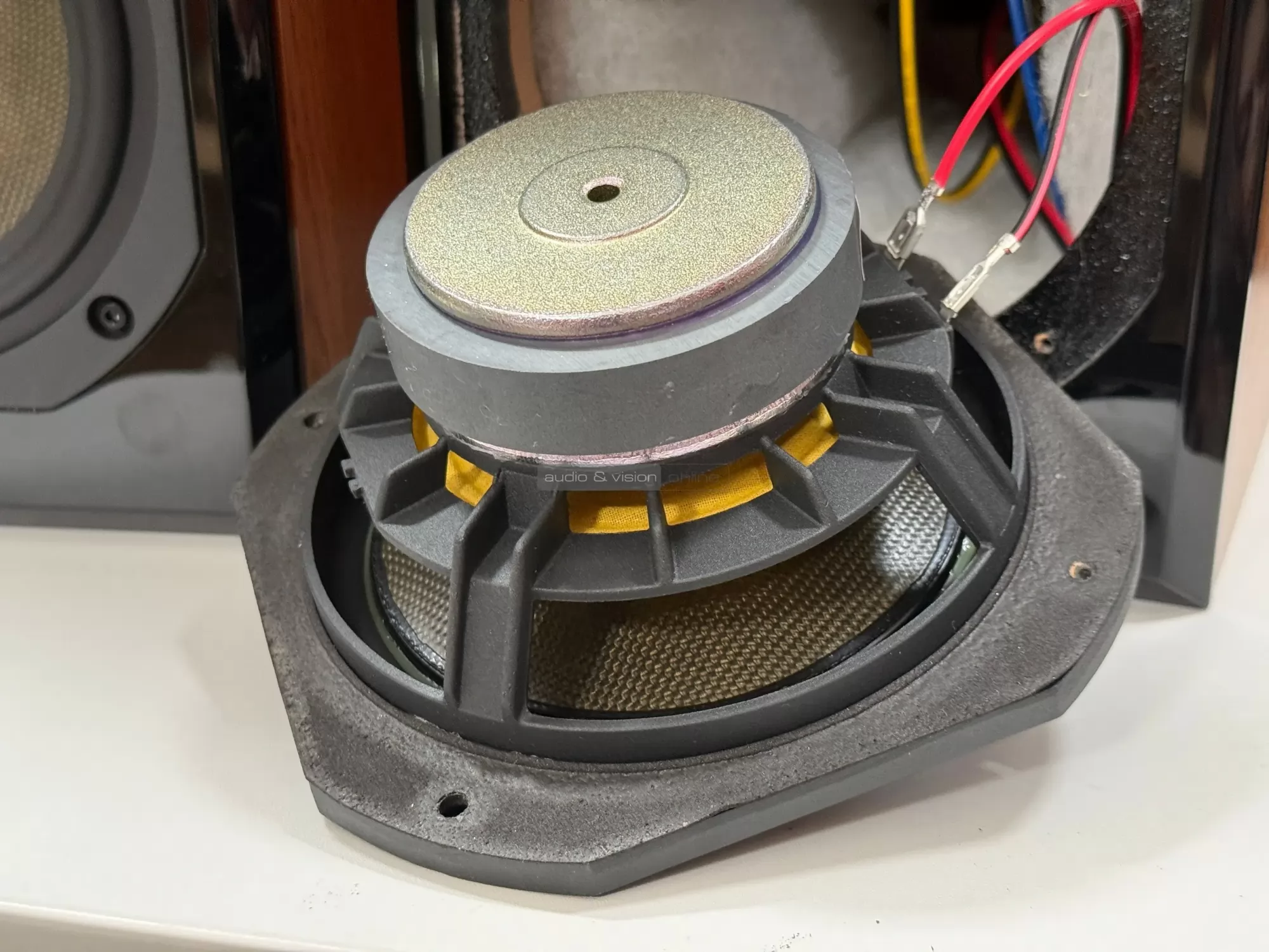 Dynavoice Definition DM-6II hangfal mélysugárzó