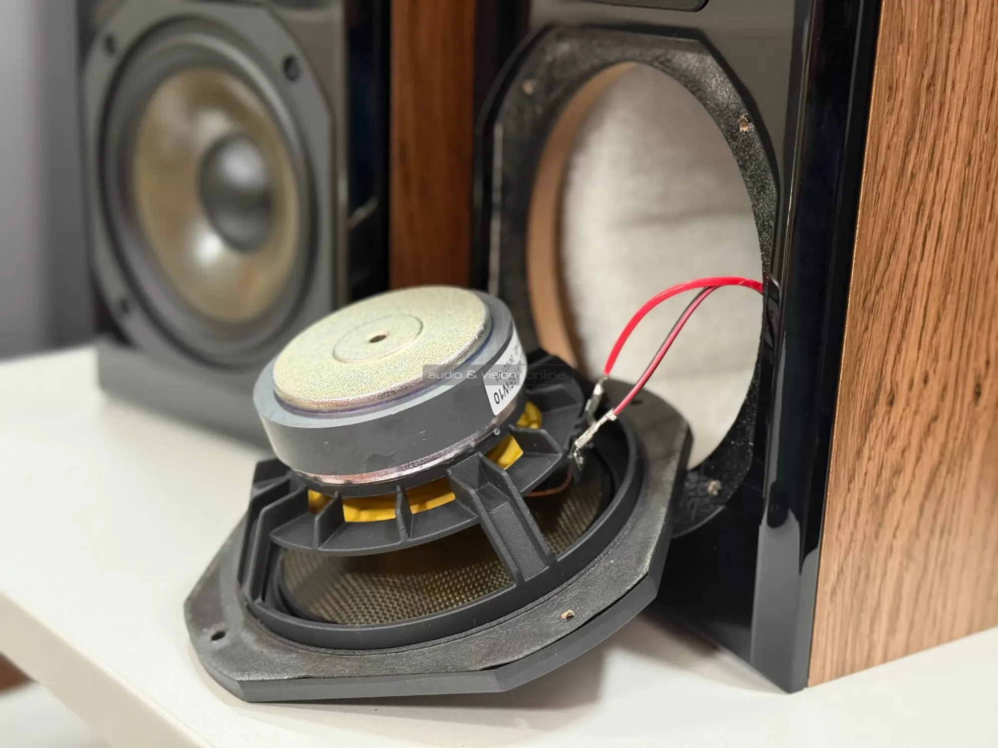 Dynavoice Definition DM-6II hangfal mélysugárzó