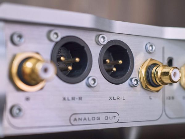 Musician Pegasus R2R DAC hátlap