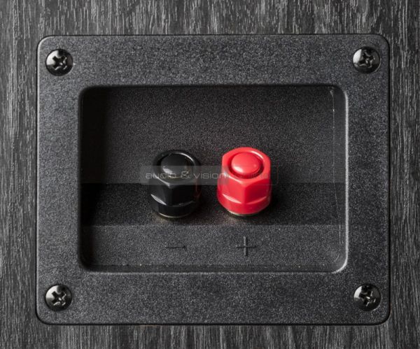 Polk Audio Signature S20 hangfal csatlakozó