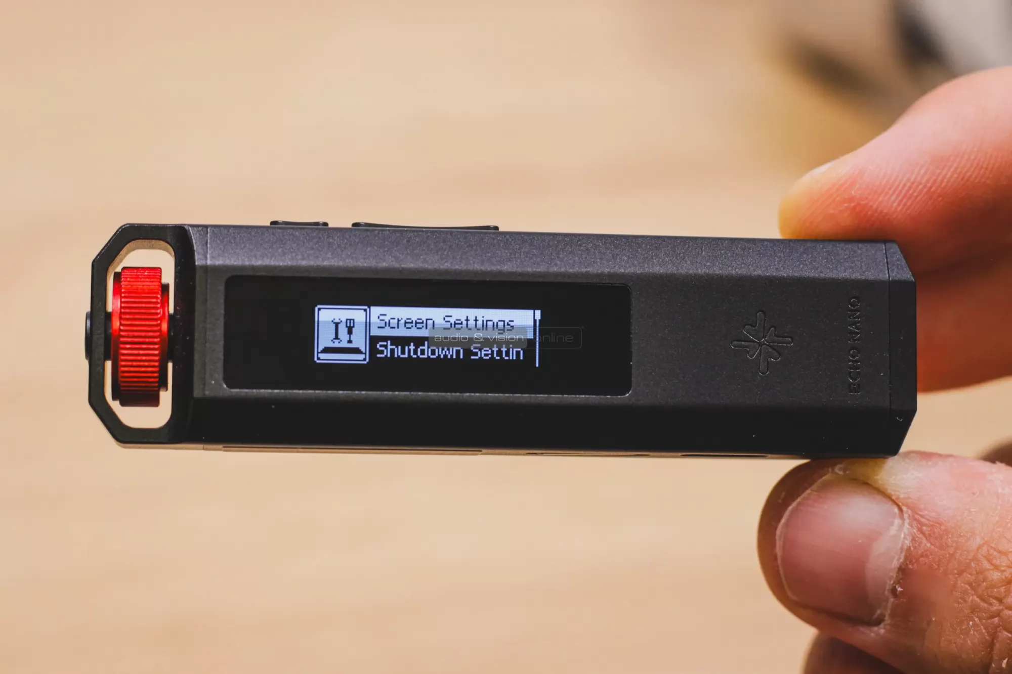 Snowsky Echo Nano DAP