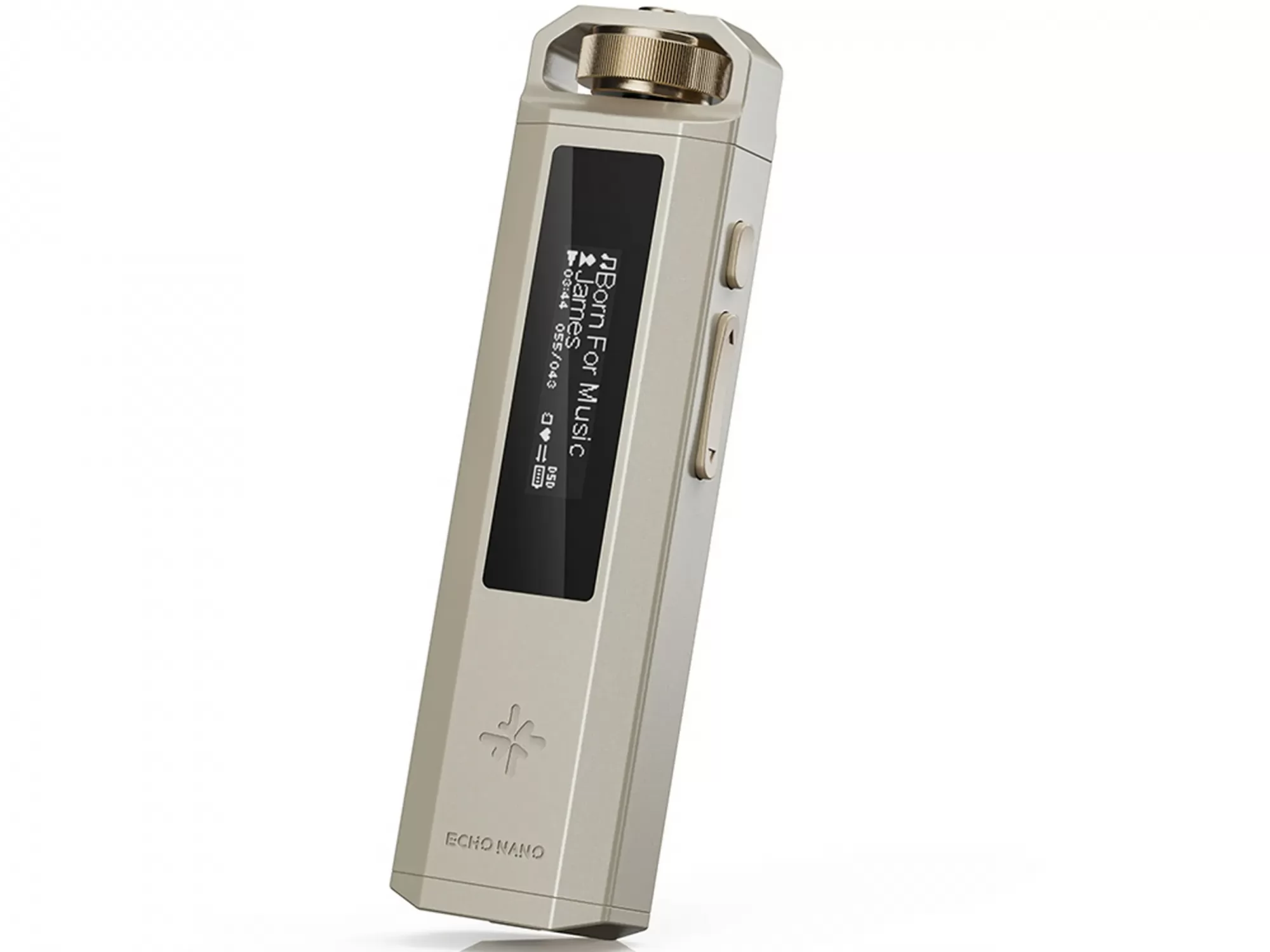 Snowsky Echo Nano DAP