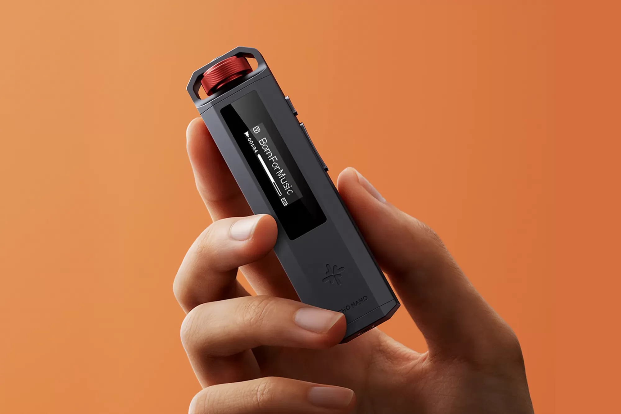 Snowsky Echo Nano DAP