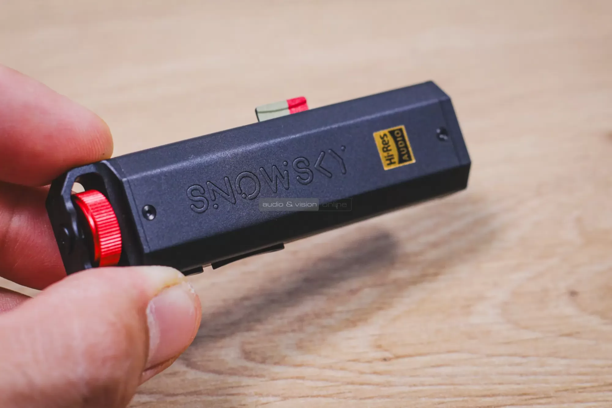 Snowsky Echo Nano DAP