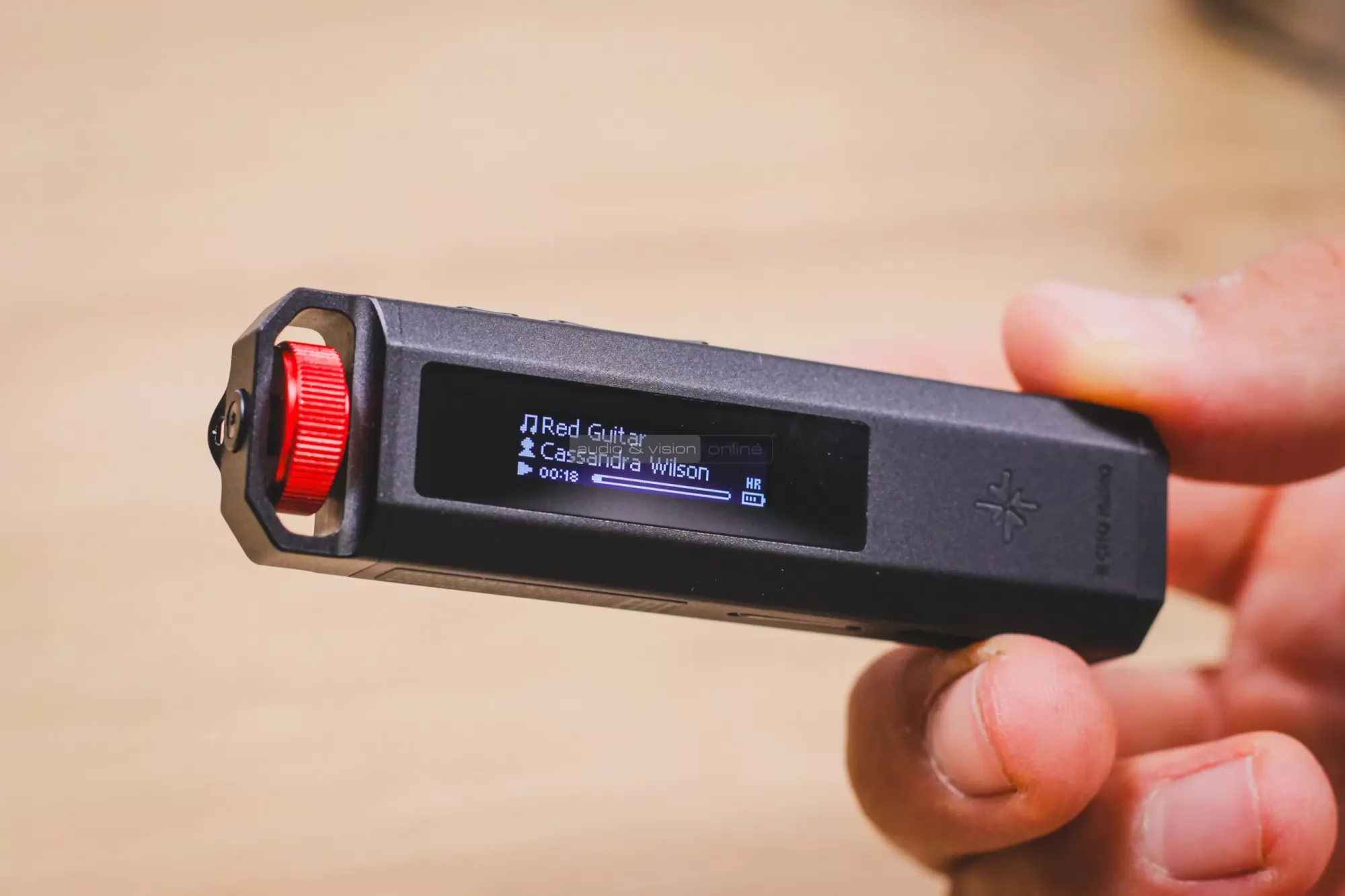 Snowsky Echo Nano DAP