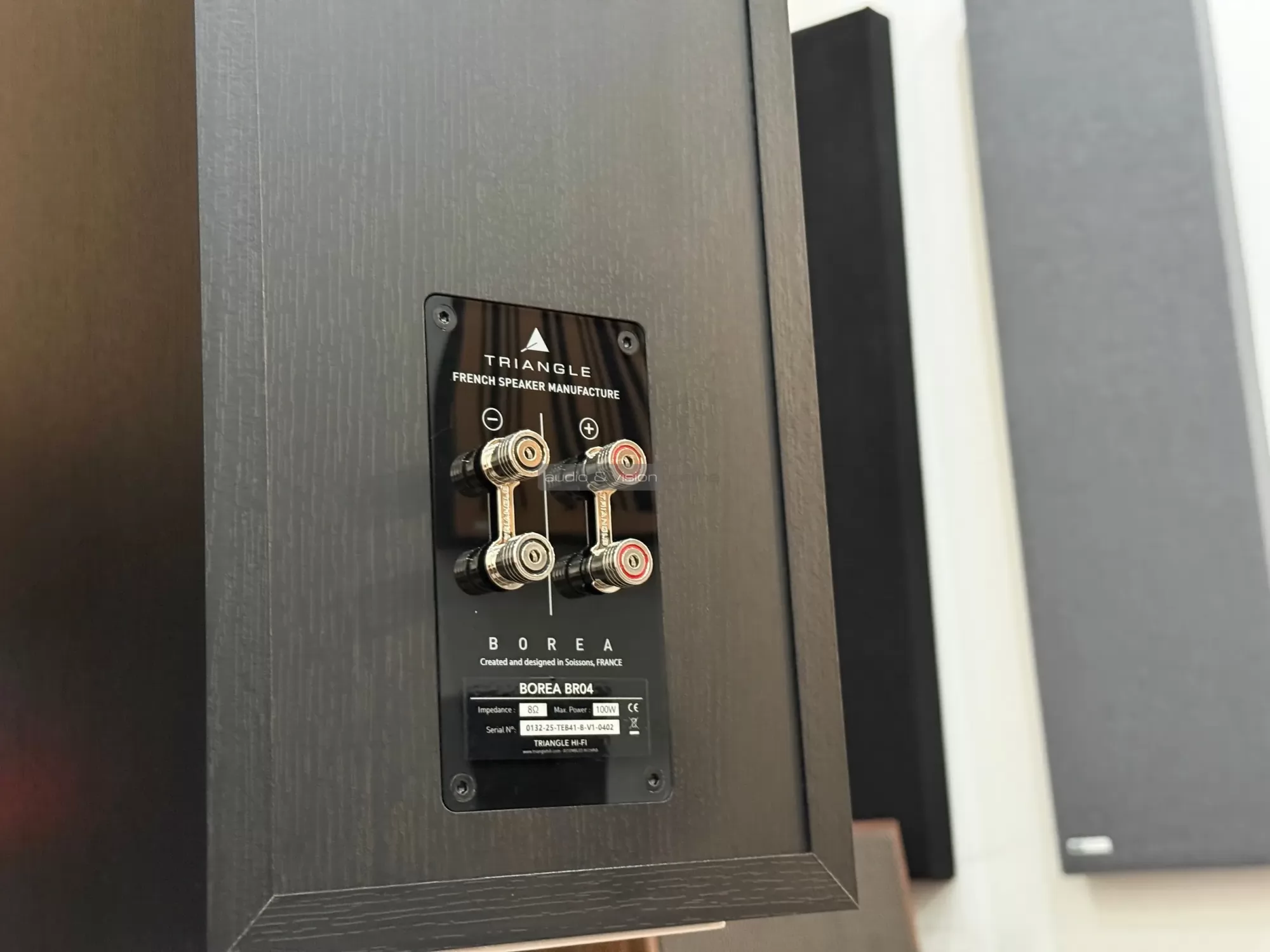 Triangle Borea BR04 hangfal csatlakozó