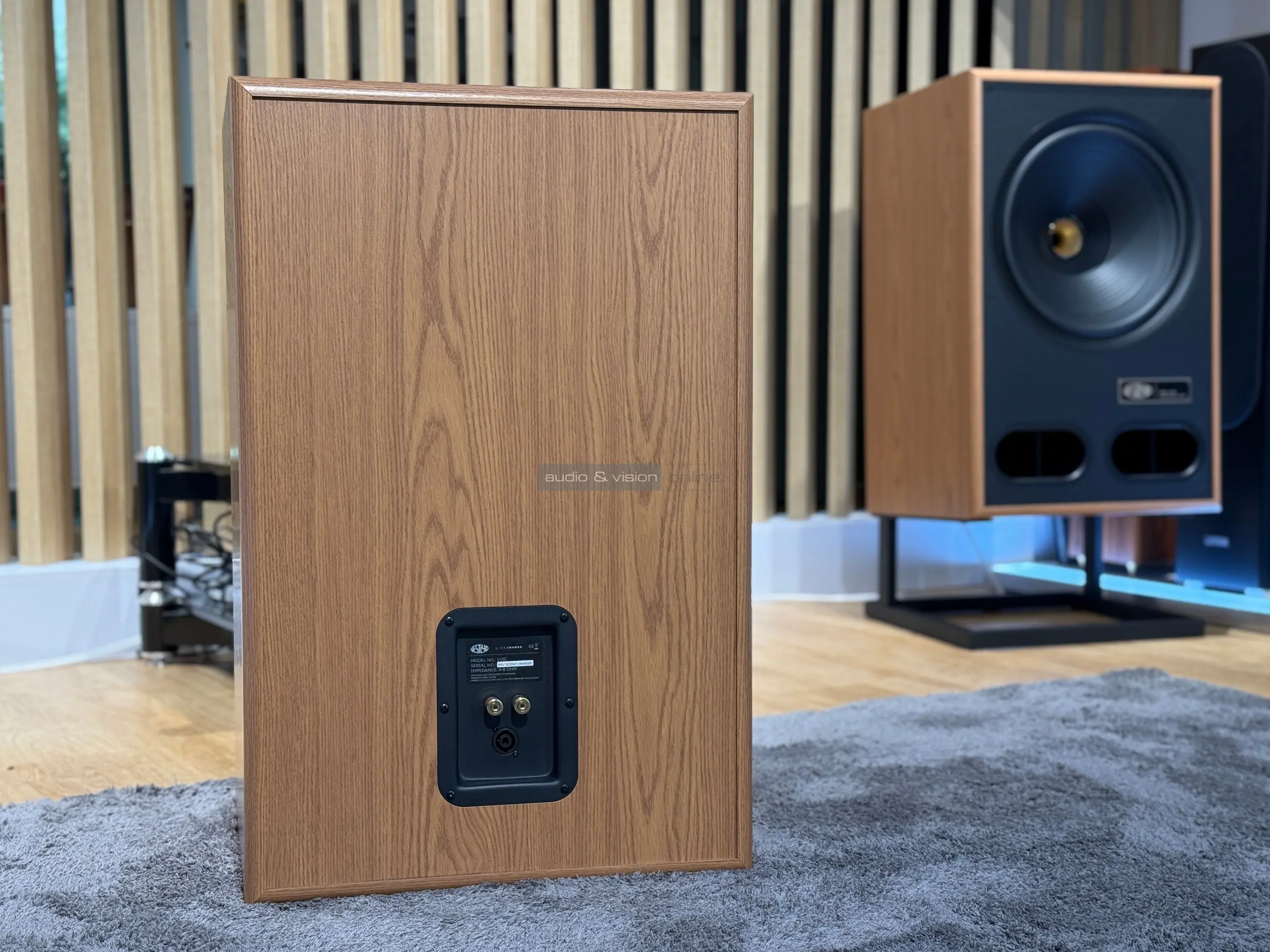 Vestlyd V15C hangfal hátlap