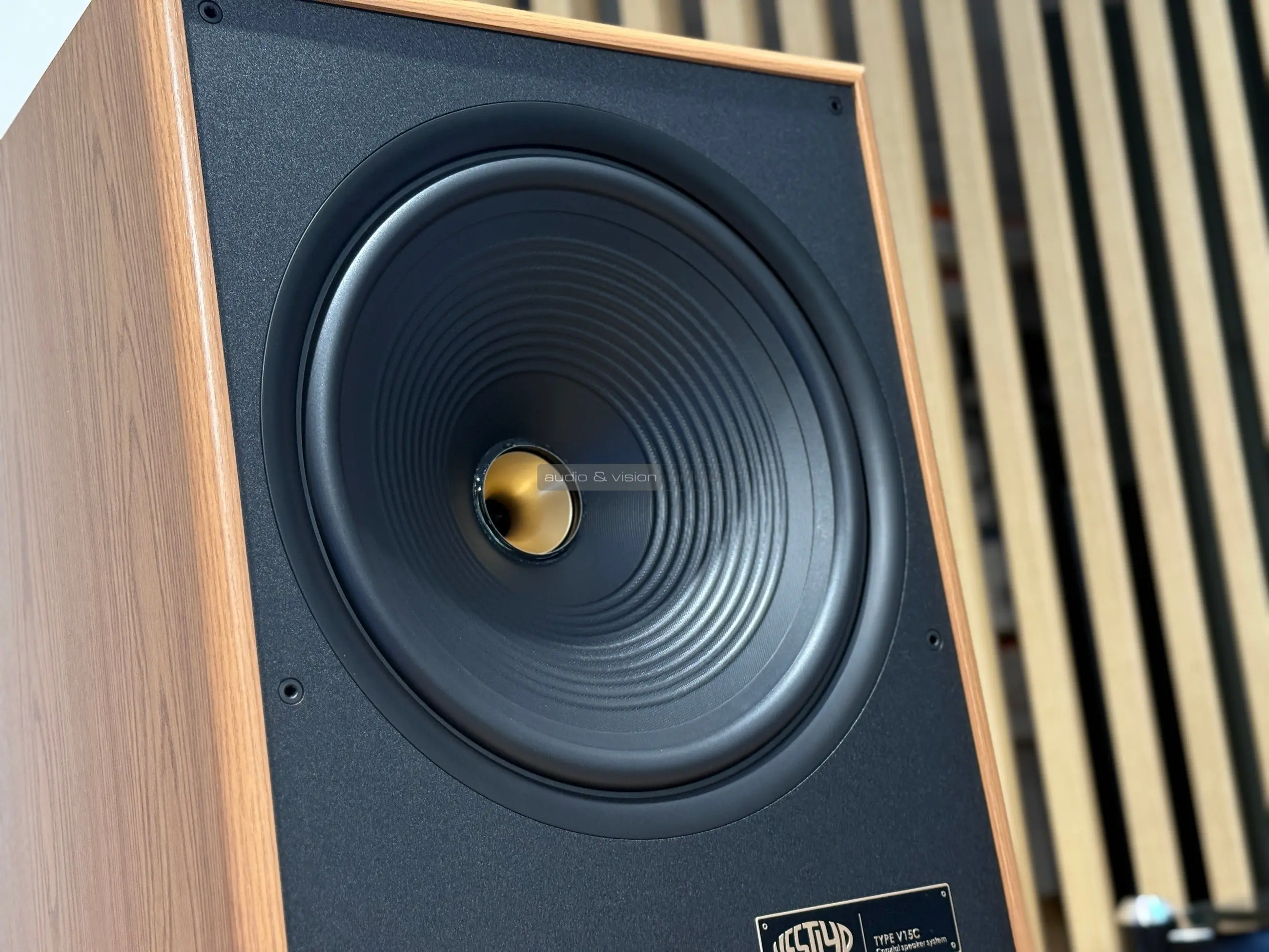 Vestlyd V15C hangfal hangszóró