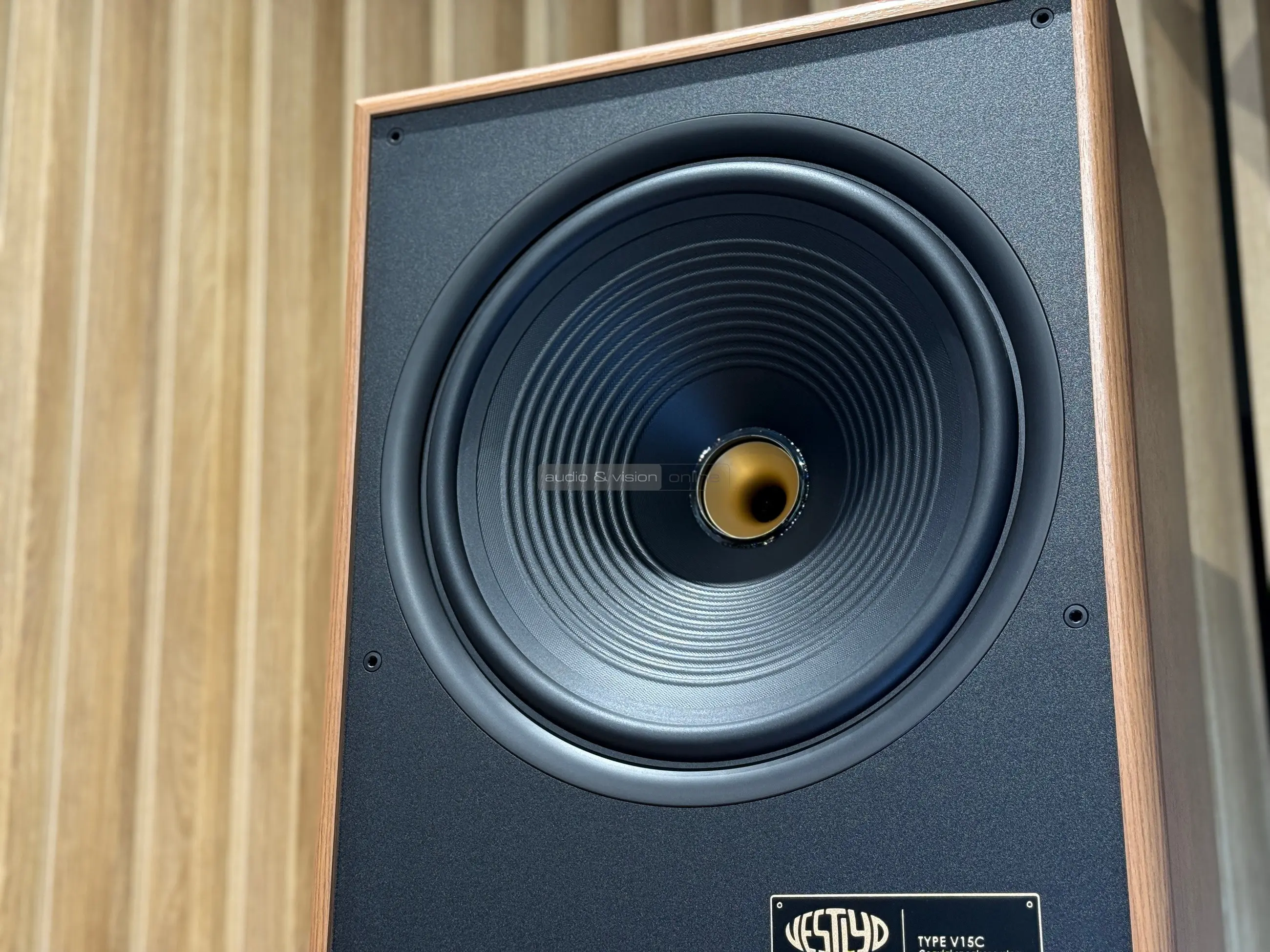 Vestlyd V15C hangfal hangszóró
