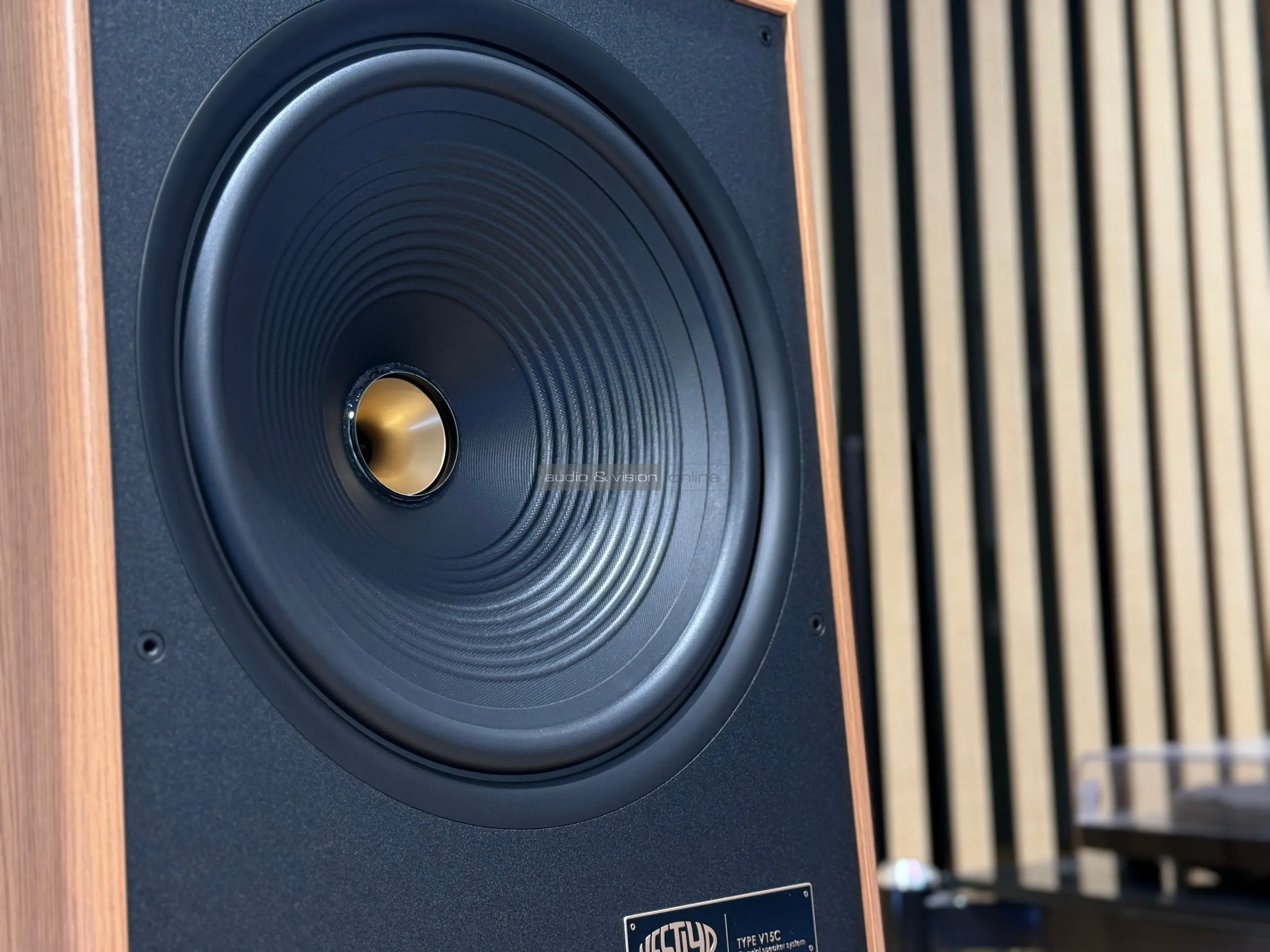 Vestlyd V15C hangfal hangszóró