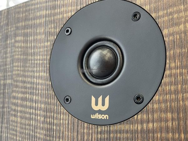 Wilson Classic hangfal magassugárzó