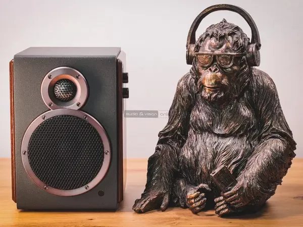 FiiO SA1 aktív hangfal