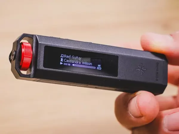 Snowsky Echo Nano DAP